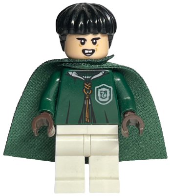 Minifig hp136