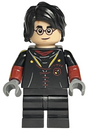 Minifig hp349