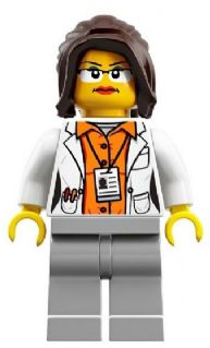 Minifig idea011