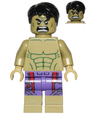 Minifig sh0212