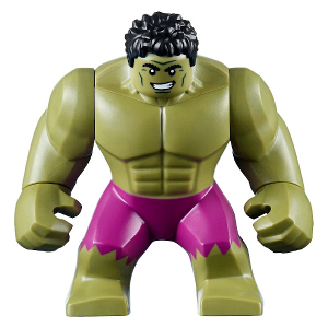 Minifig sh0643