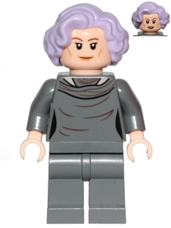 Minifig sw0863