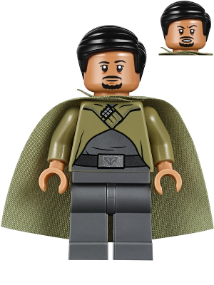 Minifig sw1037
