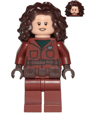 Minifig sw1210