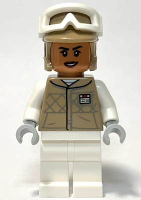 Minifig sw1313