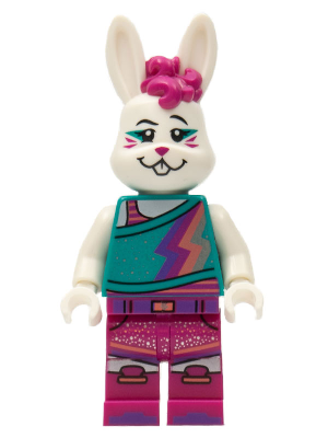 Minifig vid010