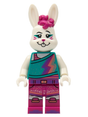 Minifig vid010