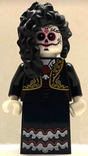 Minifig hol304
