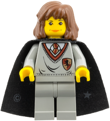 Minifig hp002