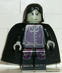 Minifig hp012