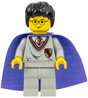 Minifig hp036