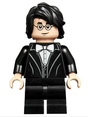 Minifig hp184