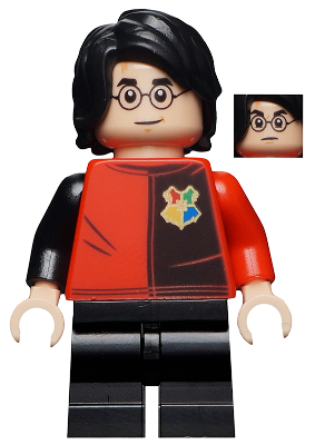 Minifig hp195
