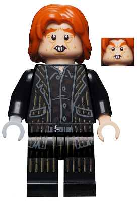 Minifig hp196