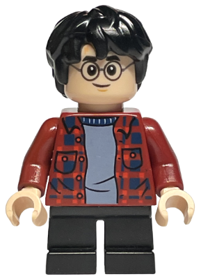 Minifig hp233