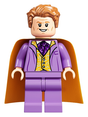 Minifig hp243