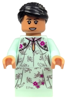 Minifig hp259