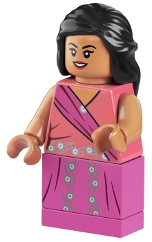 Minifig hp261