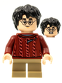 Minifig hp278