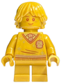 Minifig hp294