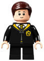 Minifig hp306