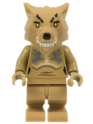 Minifig hp348