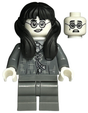 Minifig hp372