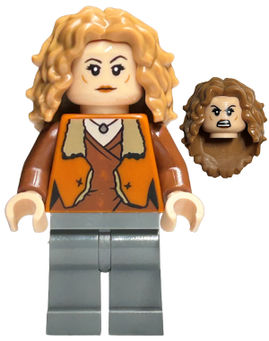 Minifig hp463