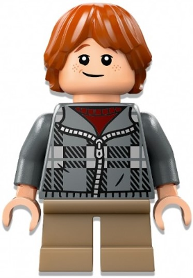 Minifig hp496