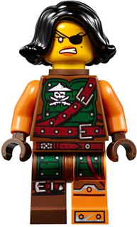 Minifig njo0211