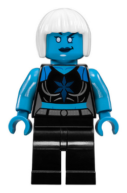 Minifig sh0472