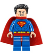 Minifig sh0489