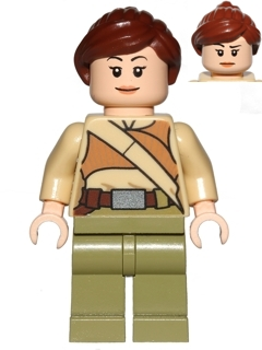 Minifig sw0668