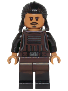 Minifig sw0674