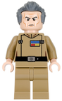 Minifig sw0741