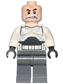Minifig sw0749