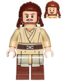 Minifig sw0810