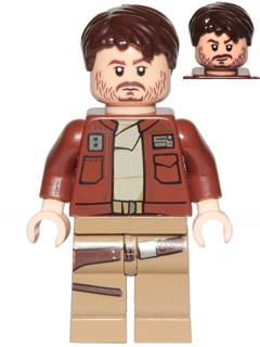 Minifig sw0813