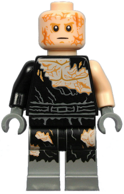 Minifig sw0829