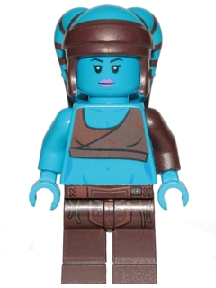 Minifig sw0833