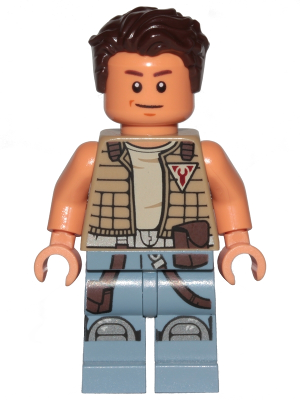 Minifig sw0849