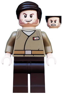 Minifig sw0876