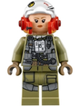 Minifig sw0884
