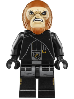 Minifig sw0945