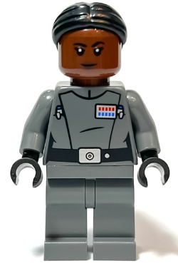 Minifig sw1250