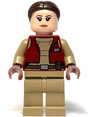 Minifig sw1303