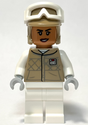 Minifig sw1313