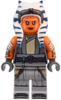 Minifig sw1354