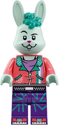 Minifig vid025