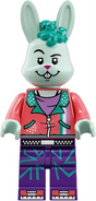 Minifig vid025